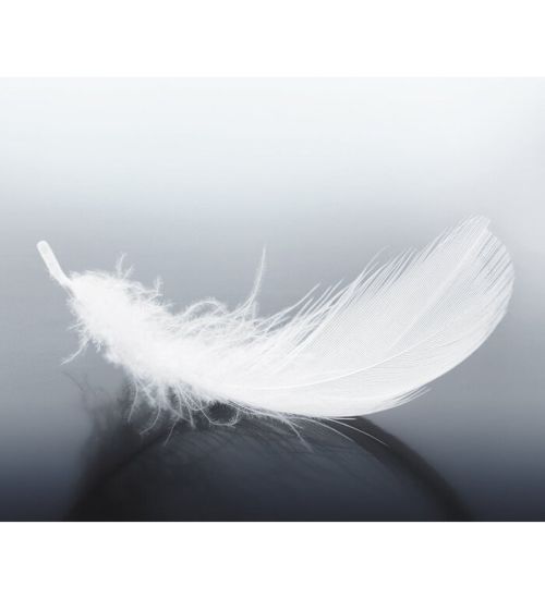 White Boutique Pillow Ruby