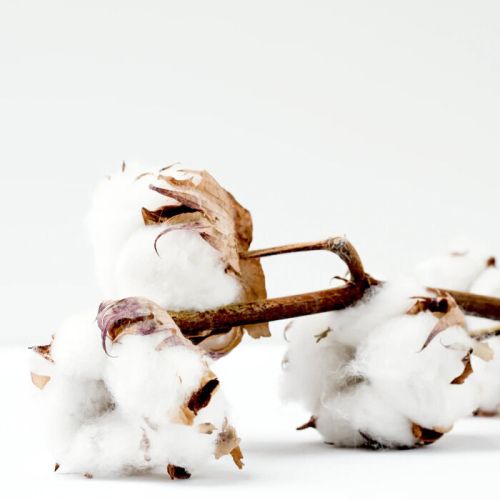 WHITE BOUTIQUE DUVET COTTONA TENCEL