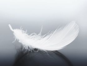 White Boutique Pillow Gold