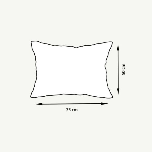SILK PILLOW CASE SETA